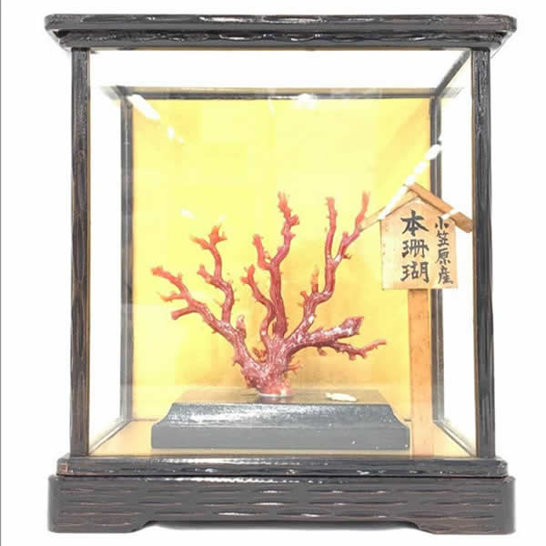 收購紅珊瑚